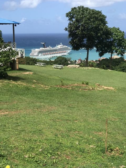 Ocho Rios Highlights, Shopping and Dunn's River Falls, and Jamaican Lunch Excursion Loved It!!