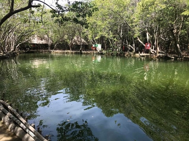 Progreso Cenote Natural Reserve with Beach Break Excursion Loved it. 