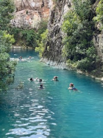 Progreso Cuzama 3 Cenotes Explore and Swim Excursion  AMAZING EXCURSION Fun, History, culture and great food