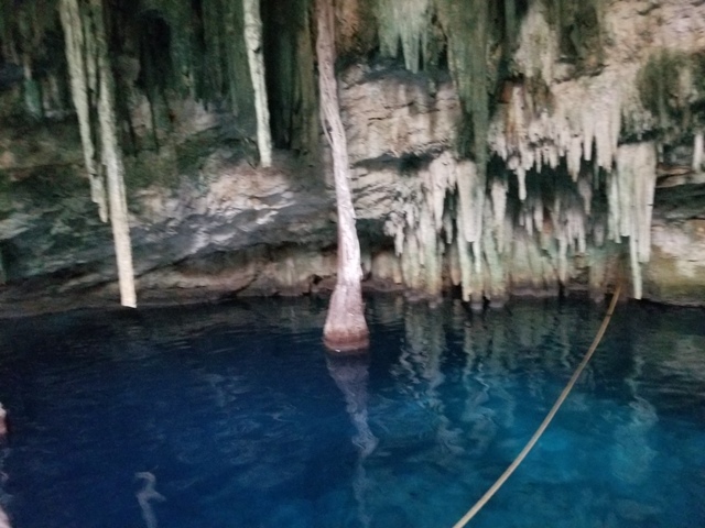 Progreso Cuzama 3 Cenotes Explore and Swim Excursion  Cenotes