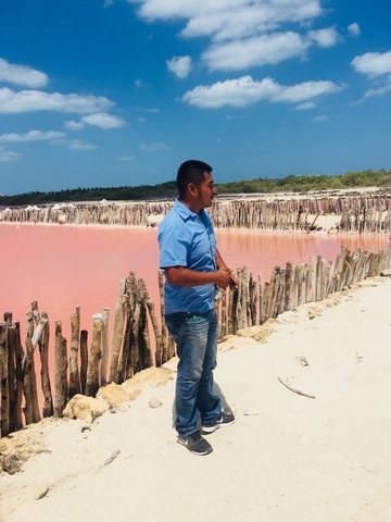 Progreso Xcambo Mayan Ruins, Flamingos, Pink Lagoon and Beach Break Excursion Don’t miss this excursion! 