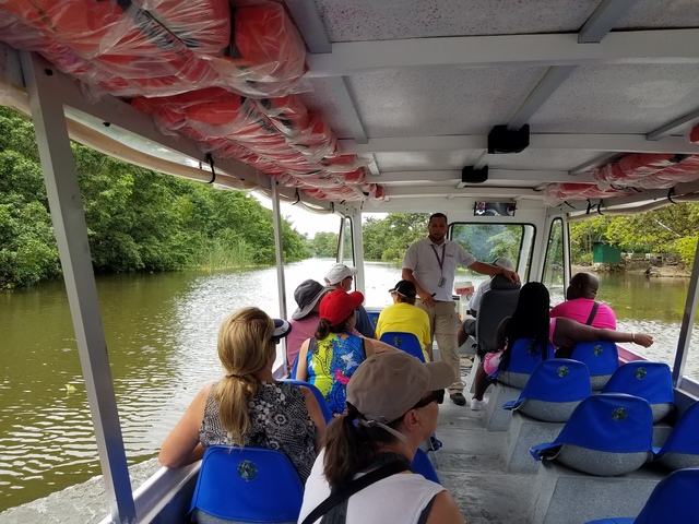 Puerto Limon Zip Line Canopy and Tortuguero Jungle River Cruise Excursion Fun, friendly local guide for two amazing adventures!