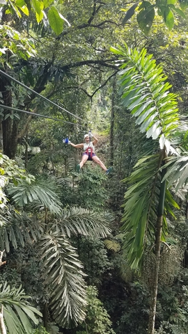 Puerto Limon Zip Line Canopy and Tortuguero Jungle River Cruise Excursion Fun, friendly local guide for two amazing adventures!