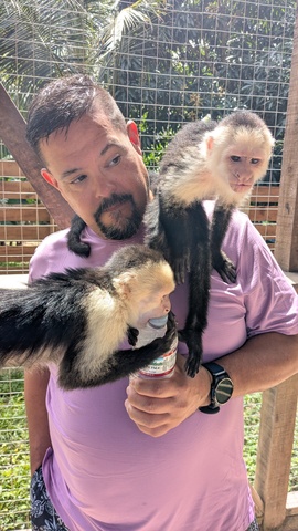 Roatan ATV Off-Road Adventure, Monkey and Sloth Hangout Excursion VIP adventure 