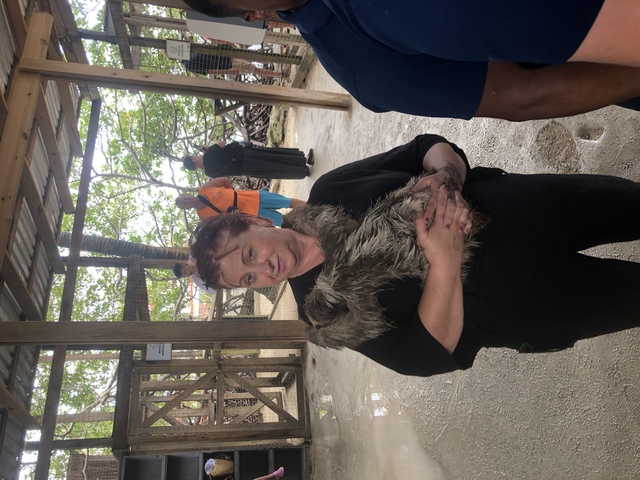 Roatan ATV Off Road Adventure and Monkey Sloth Hangout Excursion Great time for family of 12
