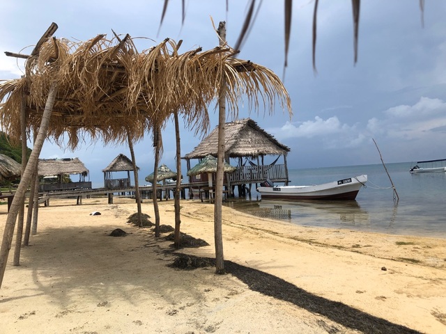 Roatan ATV Off Road Adventure and Monkey Sloth Hangout Excursion amazing tour