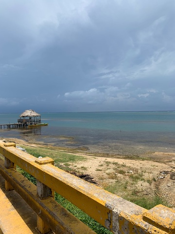 Roatan ATV Off Road Adventure and Monkey Sloth Hangout Excursion amazing tour