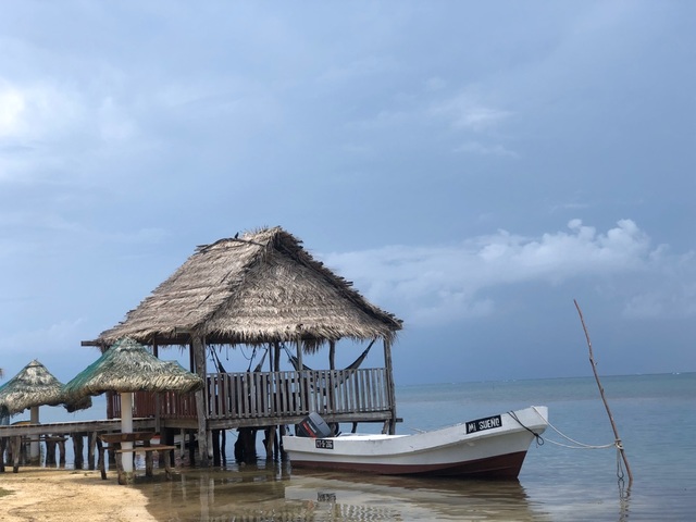 Roatan ATV Off Road Adventure and Monkey Sloth Hangout Excursion amazing tour