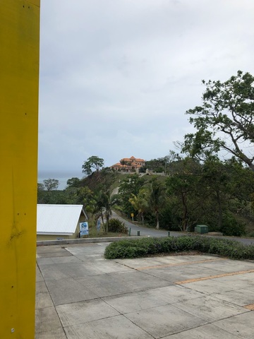Roatan ATV Off Road Adventure and Monkey Sloth Hangout Excursion amazing tour