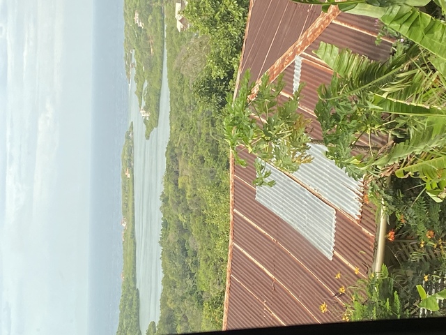 Roatan ATV Off Road Adventure and Monkey Sloth Hangout Excursion Super cool 
