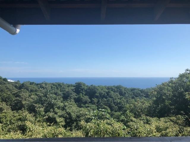 Roatan Canopy Zip Line and Beach Break Adventure Combo Excursion Zip lining was a great experience the beach was not