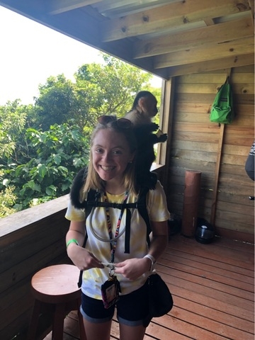 Roatan Canopy Zip Line and Beach Break Adventure Combo Excursion Zip lining was a great experience the beach was not
