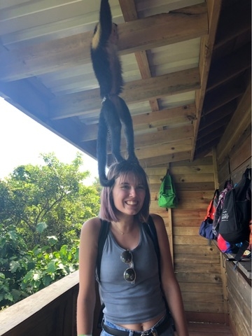 Roatan Canopy Zip Line and Beach Break Adventure Combo Excursion Zip lining was a great experience the beach was not
