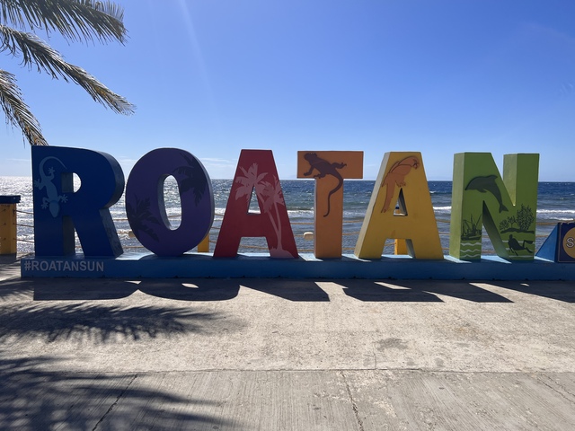 Roatan City Highlights, Monkey and Sloth Hangout, Snorkel and Beach Break Excursion Best Excursion Ever!!!