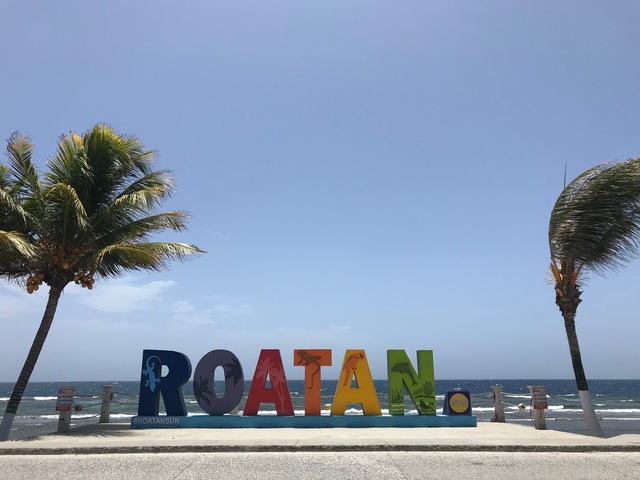 Roatan City Highlights, Monkey and Sloths, Snorkel, and Beach Excursion More than what I expected!