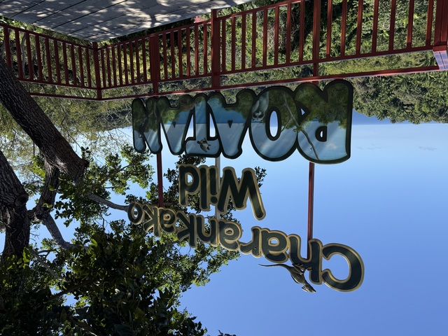 Roatan City Highlights, Monkey and Sloths, Snorkel, and Beach Excursion Would give more stars if possible!!