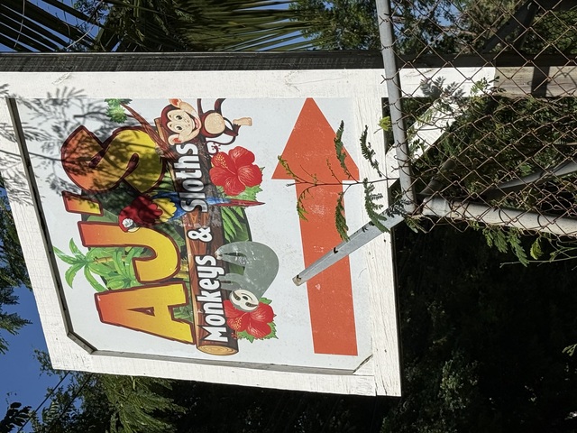 Roatan City Highlights, Monkey and Sloths, Snorkel, and Beach Excursion Would give more stars if possible!!