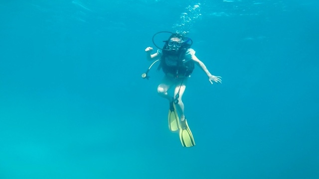 Roatan Discover SCUBA Diving Excursion for Beginners with Boat Dive amazing time!