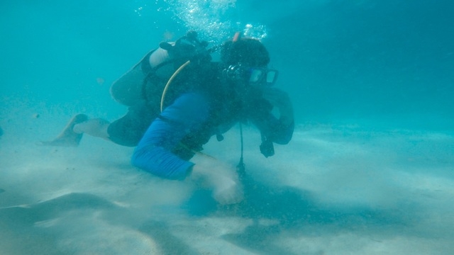 Roatan Discover SCUBA Diving Excursion for Beginners with Boat Dive amazing time!