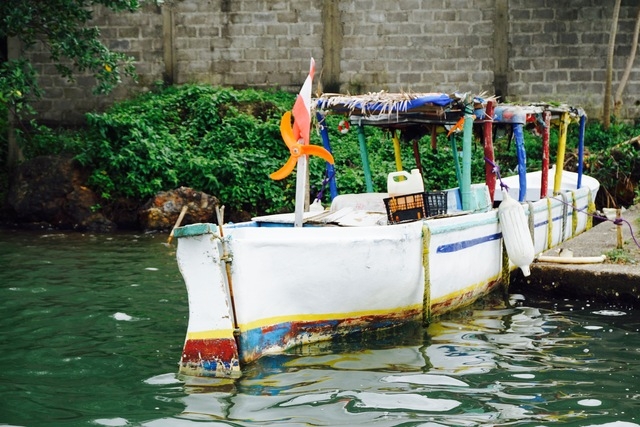 Roatan East End Sightseeing, Island Mangroves, Iguana Farm and Coral Reef Snorkeling Excursion Real life on Roatan