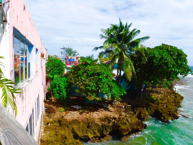 Roatan East End Sightseeing, Mangroves, Iguana Farm, and Coral Reef Snorkeling Excursion Real life on Roatan