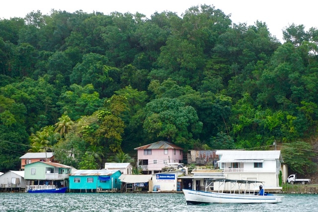 Roatan East End Sightseeing, Mangroves, Iguana Farm, and Coral Reef Snorkeling Excursion Real life on Roatan
