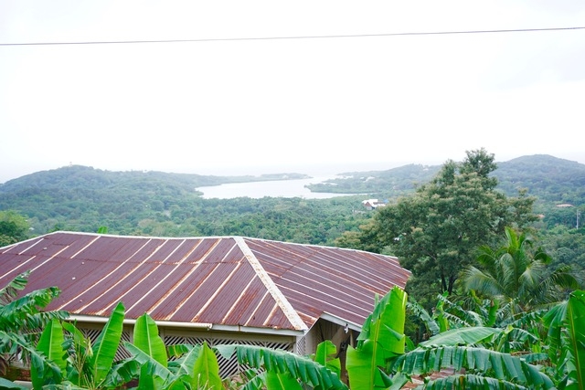 Roatan East End Sightseeing, Mangroves, Iguana Farm, and Coral Reef Snorkeling Excursion Real life on Roatan