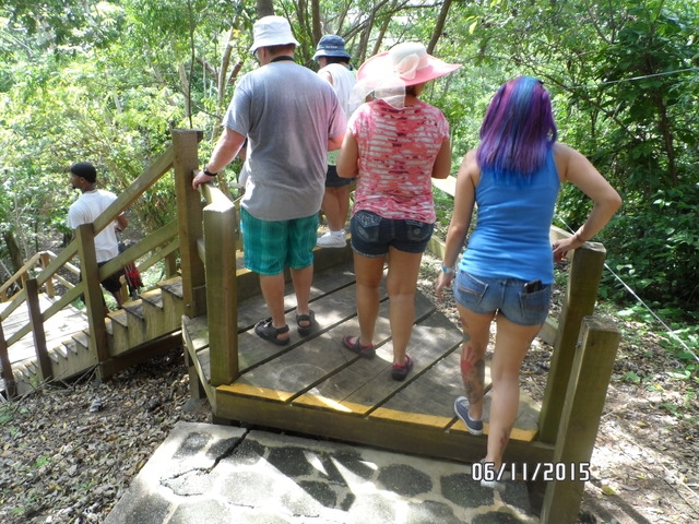 Roatan Eco Walkways, Treetop Suspension Bridges and Zip Line Adventure Excursion Great Family Adventure