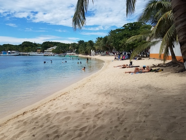 Roatan Hop-On Hop-Off Bus Highlights Sightseeing and Beach Excursion This tour was great!