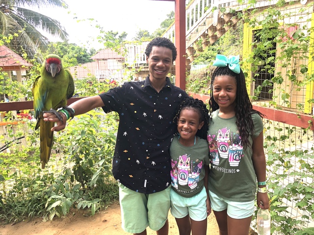 Roatan Hop On Hop Off Bus Highlights and Beach Break Excursion Wonderful Experience 
