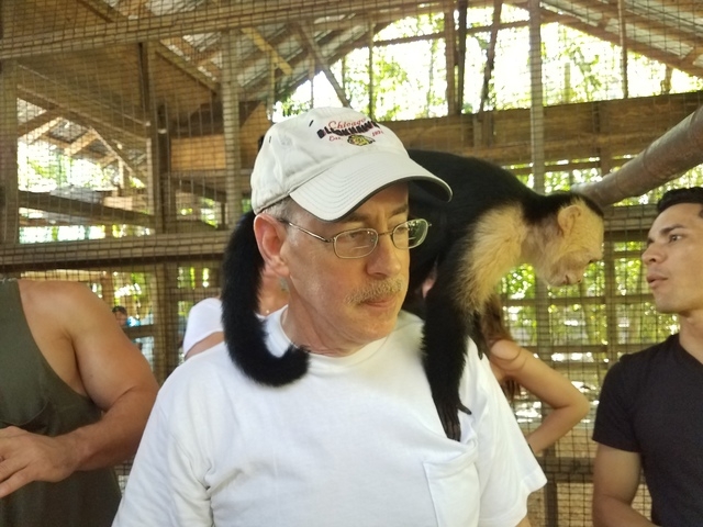 Roatan Hop On Hop Off Bus Highlights and Beach Break Excursion This tour was great!