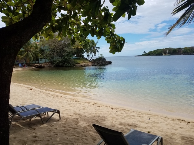 Roatan Hop On Hop Off Bus Highlights and Beach Break Excursion This tour was great!