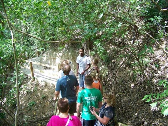 Roatan Jungle Eco Walkway and Treetop Suspension Bridges Excursion Super Fun and Highly recommend