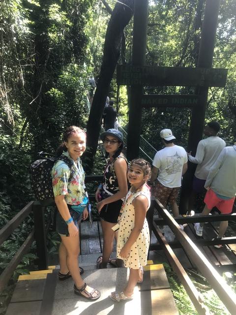 Roatan Jungle Eco Walkway, Treetop Suspension Bridges, and Beach Break Excursion Great excursion!