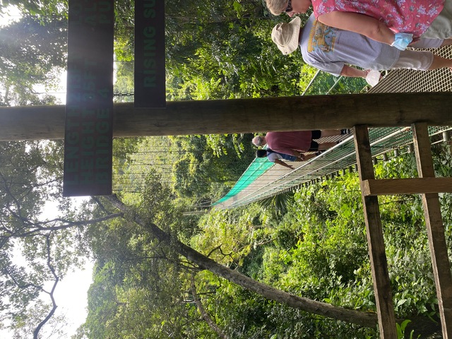 Roatan Jungle Eco Walkway, Treetop Suspension Bridges, and Beach Break Excursion We really enjoyed this