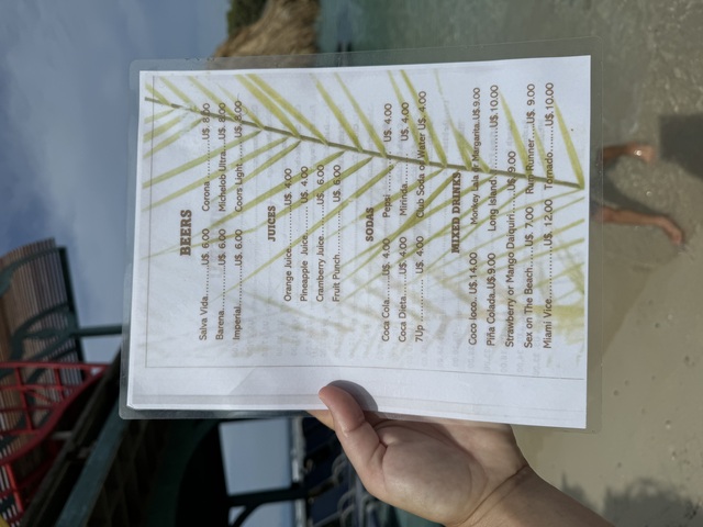 Roatan Little French Key Private Island Beach Resort Day Pass Excursion Enjoyed this with our kids 