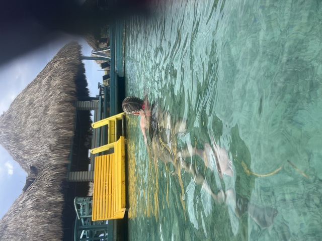Roatan Little French Key Private Island Beach Resort Day Pass Excursion Lots of Fun!