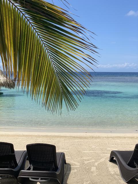 Roatan Little French Key Private Island Beach Resort Day Pass Excursion Absolutely loved!