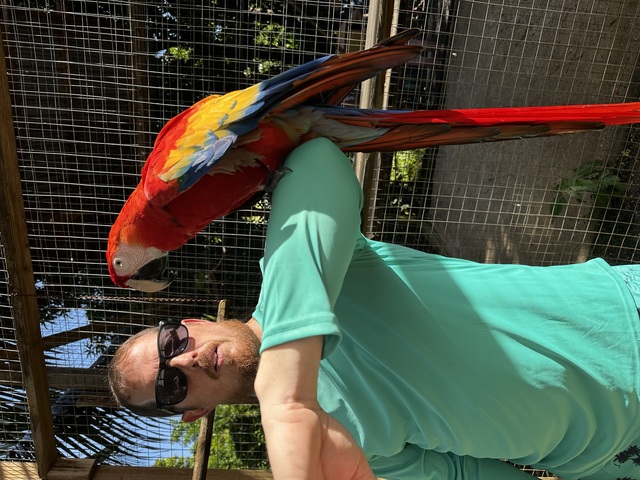 Roatan Monkeys, Sloths, Snorkeling, and Brady's Cay Private Island Beach Excursion Wonderful Excursion