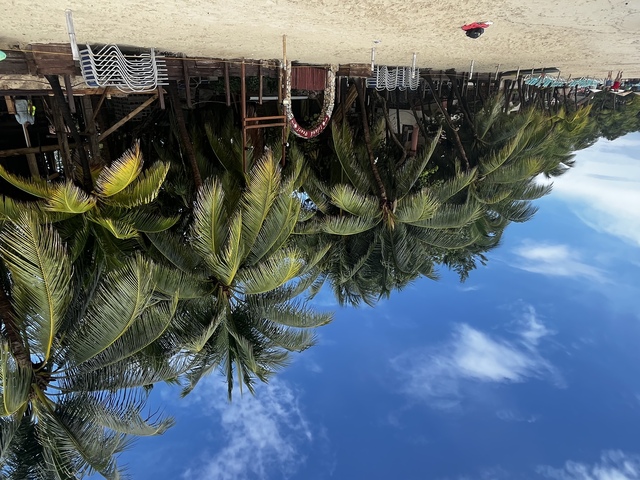 Roatan Private Chocolate Rum cake Factory, Sightseeing and Beach Break Excursion  Can’t wait to return! Roatan has our heart!