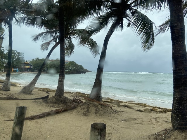 Roatan Private East West, Best Of Island Excursion Fantastic despite the rain!