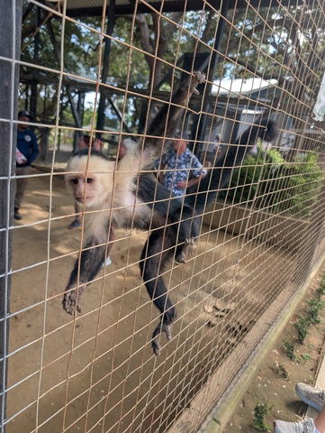 Roatan Private East West, Best Of Island Excursion very accommodating & knowledge guide!