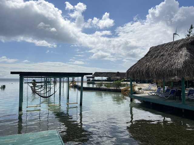 Roatan Relaxed Drift Snorkel, Monkey and Sloth Hangout and Beach Break Excursion Best Day