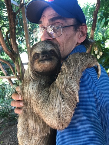 Roatan Sightseeing, Shopping and Jungle Horseback Riding Excursion horseback, sightseeing with Adolph 