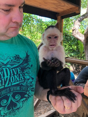 Roatan Sightseeing, Shopping and Jungle Horseback Riding Excursion horseback, sightseeing with Adolph 