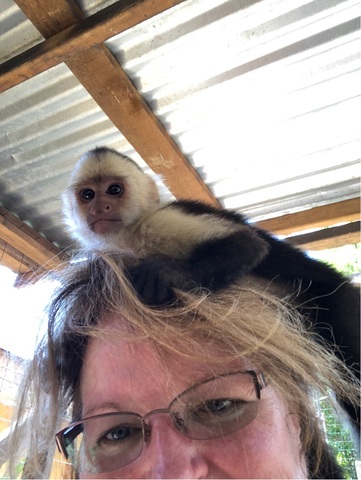 Roatan Sightseeing, Shopping and Jungle Horseback Riding Excursion horseback, sightseeing with Adolph 