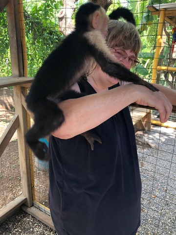 Roatan Sightseeing, Shopping and Jungle Horseback Riding Excursion horseback, sightseeing with Adolph 
