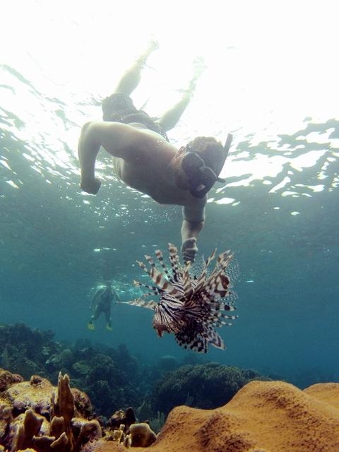 Roatan South Side Snorkel and Beach Break Excursion  Eat excursion ever 