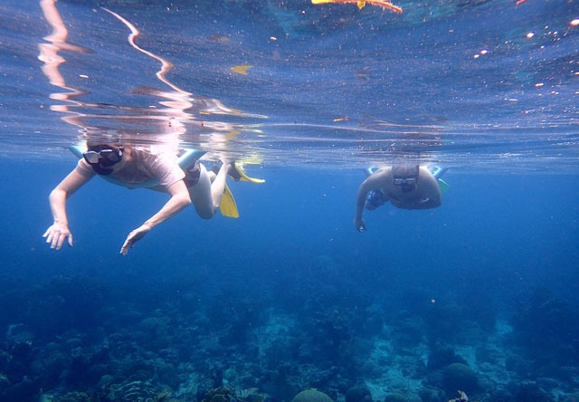 Roatan South Side Snorkel and Beach Break Excursion Excellent Snorkel Opportunity