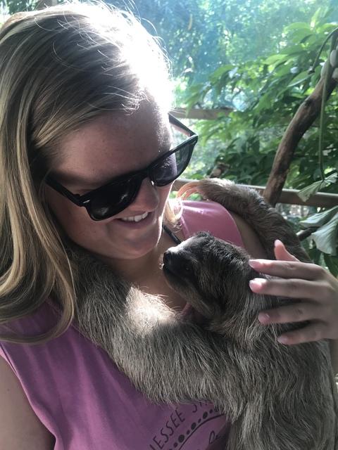Roatan Southside Reef Snorkel, Monkey / Sloth Park, and Beach Excursion MY FAV EXCURSION! 